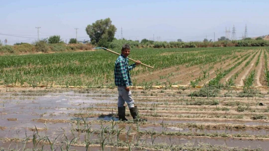Gençlerin masa başı iş sevdası Türk tarımına alarm verdiriyor