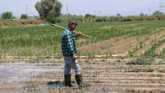 Gençlerin masa başı iş sevdası Türk tarımına alarm verdiriyor