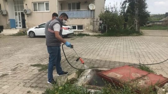 Germencik Belediyesi'nden yaz öncesi yoğun ilaçlama mesaisi