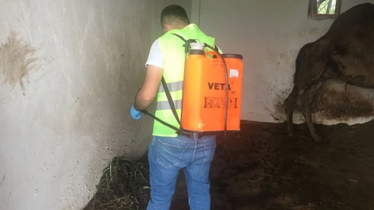 Germencik Belediyesi'nden yaz öncesi yoğun ilaçlama mesaisi