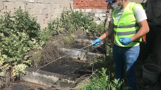 Germencik Belediyesi'nden yaz öncesi yoğun ilaçlama mesaisi