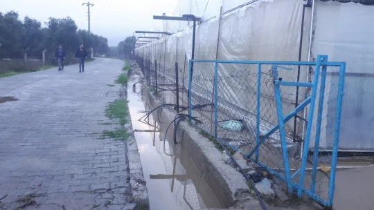 Germencik Gümüşköy seralarına su bastı