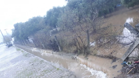 Germencik Gümüşköy seralarına su bastı