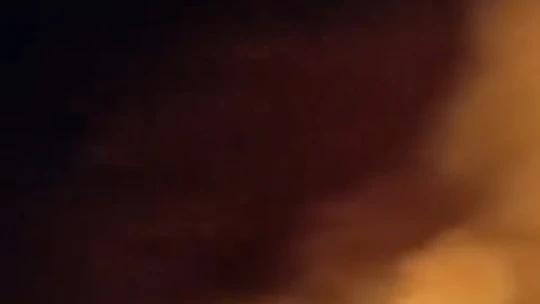 Germencik'te arazi yangını