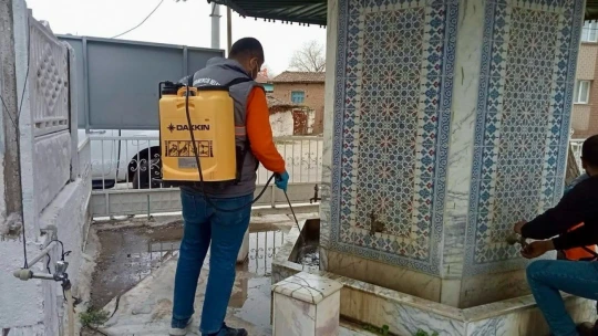 Germencik'te ilaçlama çalışmaları sürüyor