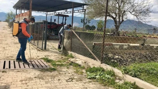 Germencik'te ilaçlama çalışmaları sürüyor