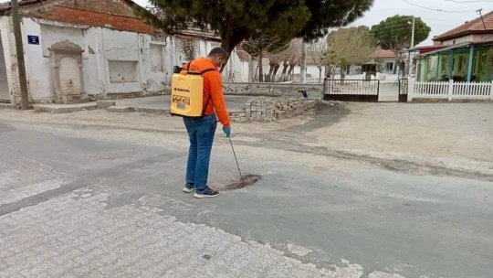 Germencik'te ilaçlama çalışmaları sürüyor
