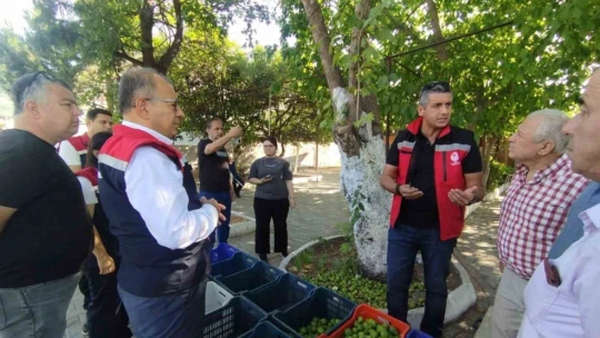 Germencik'te ilek tezgahları denetlendi