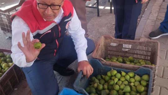 Germencik'te ilek tezgahları denetlendi