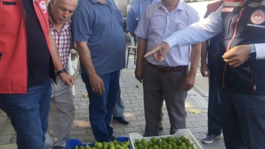 Germencik'te ilek tezgahları denetlendi
