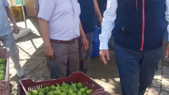 Germencik'te ilek tezgahları denetlendi