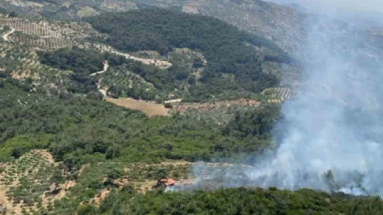 Germencik'te orman yangını