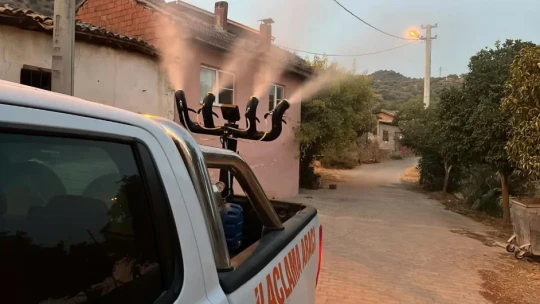 Germencik'te sivrisinekle mücadele aralıksız sürüyor