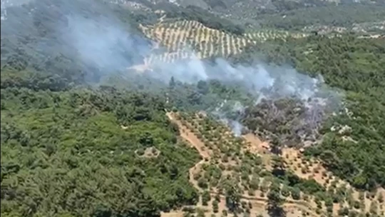Germencik'teki orman yangına 6 helikopter ile müdahale ediliyor