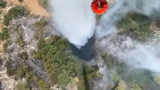 Germencik'teki orman yangına 6 helikopter ile müdahale ediliyor