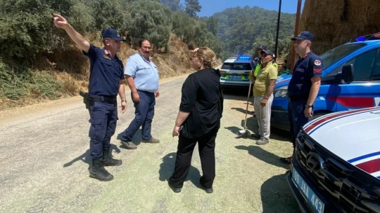 Germencik'teki orman yangını kontrol altına alındı