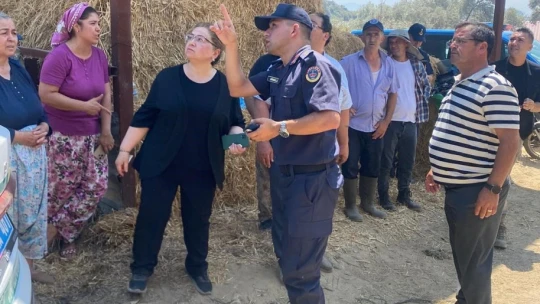 Germencik'teki orman yangını kontrol altına alındı