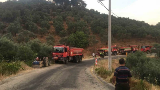Germencik'teki yangın kontrol altına alındı