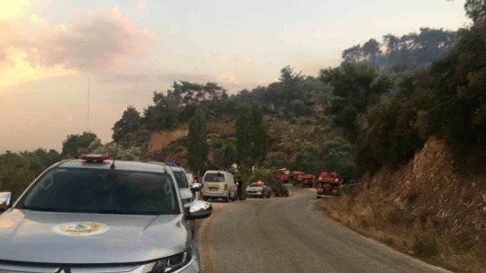 Germencik'teki yangın kontrol altına alındı