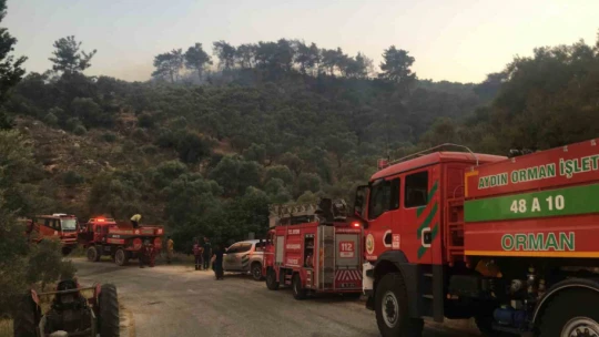 Germencik'teki yangın kontrol altına alındı
