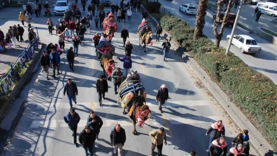 Görücüye çıkan develer ilginç görüntülere sahne oldu