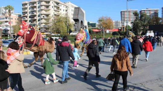 Görücüye çıkan develer ilginç görüntülere sahne oldu