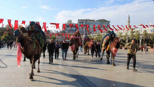 Görücüye çıkan develer ilginç görüntülere sahne oldu