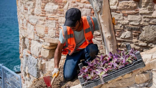 Güvercinada ziyaretçilerini yeni peyzajıyla karşılayacak