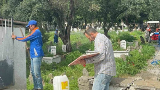 Hamzabali Mezarlığı bakıma alındı