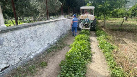 Hamzabali Mezarlığı bakıma alındı