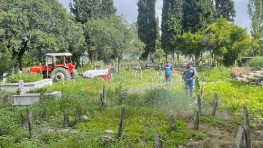 Hamzabali Mezarlığı bakıma alındı