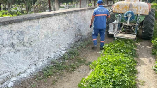Hamzabali Mezarlığı bakıma alındı