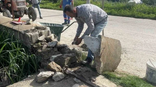 Hamzabali Mezarlığı bakıma alındı