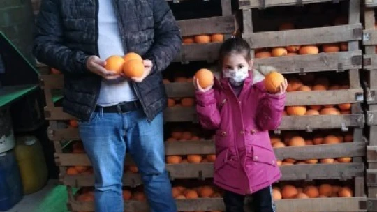 Hamzallı portakalı kalitesiyle tercih sebebi