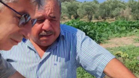 Hasat öncesi salatalık pestisit kontrolü yapıldı