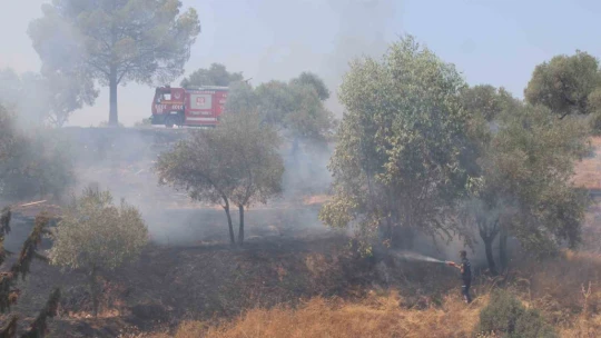 Havaya ateş açan şahıslar yangına sebep oldu