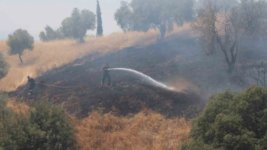 Havaya ateş açan şahıslar yangına sebep oldu