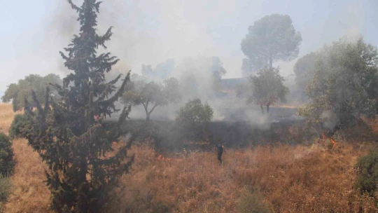 Havaya ateş açan şahıslar yangına sebep oldu