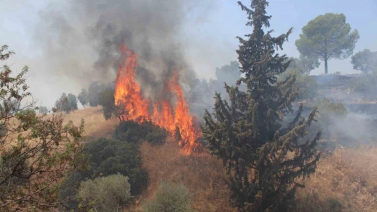 Havaya ateş açan şahıslar yangına sebep oldu