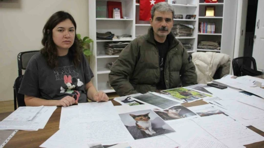 Hayvanlara kötü muamele iddiası ile tutuklanan kadının eşi konuştu