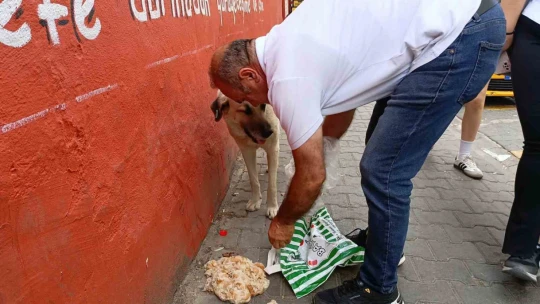 Hayvansever taksiciden örnek davranış