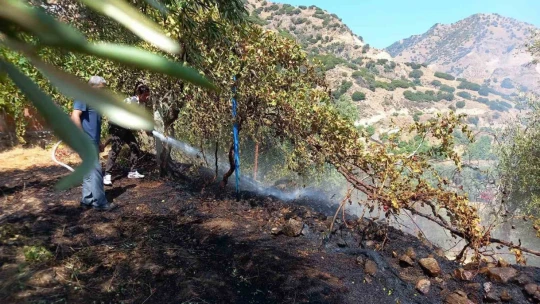 Hazır bekletilen su tankerleri alevlerin büyümesini engelledi