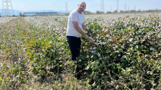 (İBRAHİM ABİ) Başkan Zencirci pamuk hasadı yapan üreticilerle buluştu