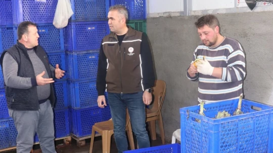 İlçe Tarım Müdürlüğü, üreticileri yalnız bırakmıyor