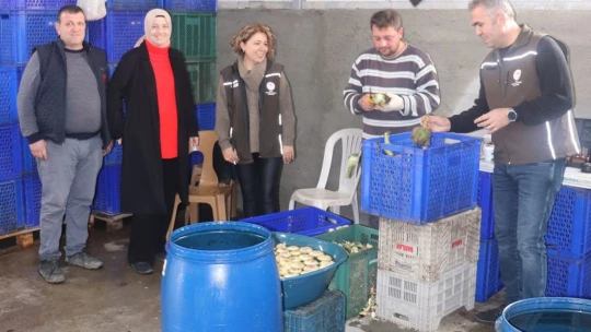 İlçe Tarım Müdürlüğü, üreticileri yalnız bırakmıyor