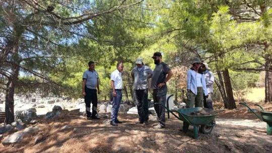 İlk planlı şehir Priene, UNESCO Dünya Mirası Listesi'ne girmeyi bekliyor