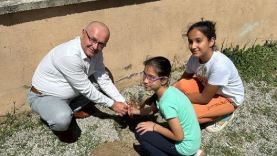 İlkokul öğrencileri hem zeytinin önemini anladı hem fidan dikti