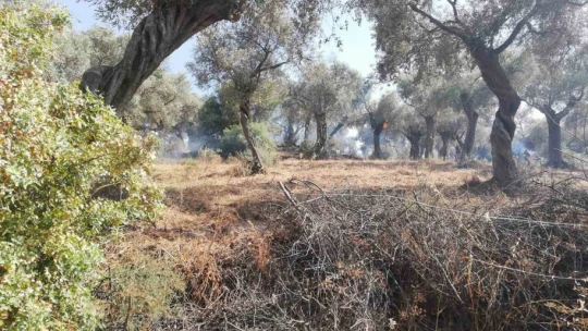 İncelemeler tamamlandı, Bakanlığa afet ihbarı yapılacak