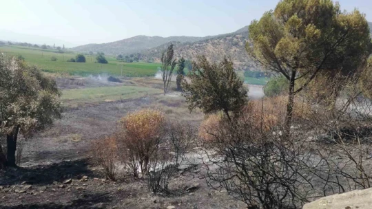 İncelemeler tamamlandı, Bakanlığa afet ihbarı yapılacak