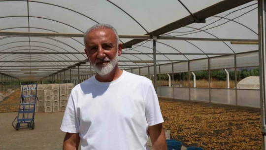 İncirlerini kurutmaya başlayan üreticilerin en büyük sıkıntısı hırsızlar